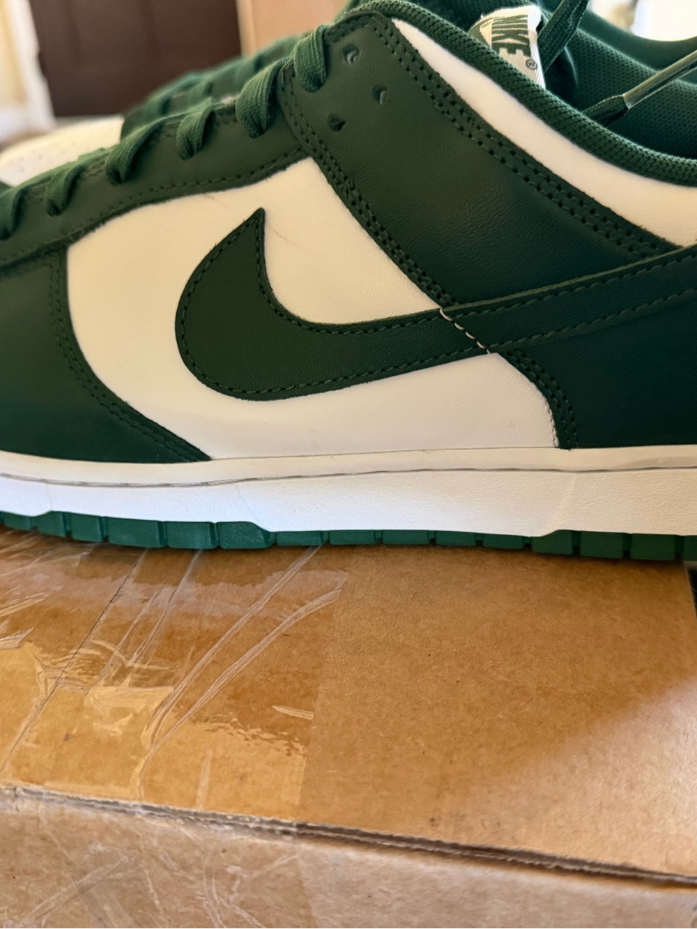 Nike Dunk. Team Green and White Michigan State. Low-Top Sneakers
